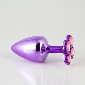 Plug Anal em Metal M Com...